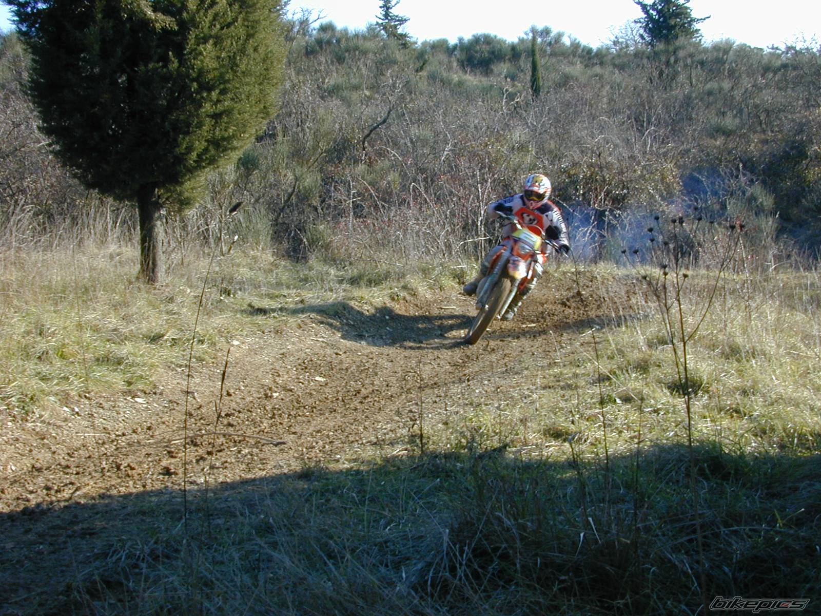 2003 KTM 450 EXC | Picture 497184 motorcycle photo