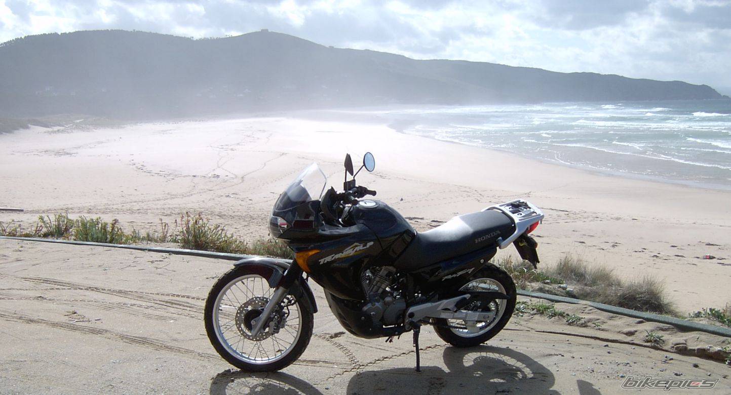 2004 HONDA XL 650V TRANSALP | Picture 497651 motorcycle photo
