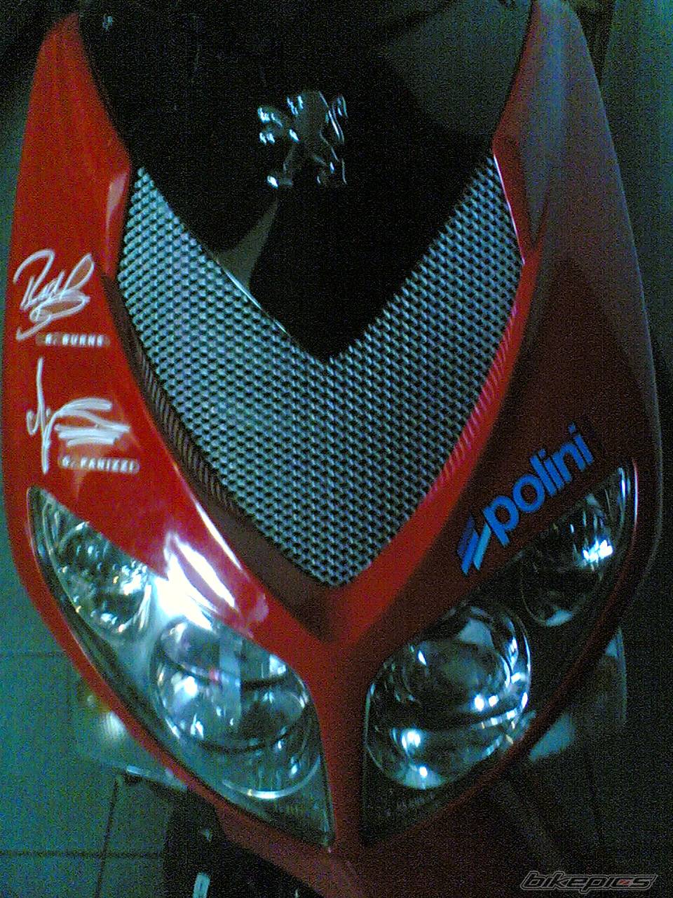 2004 PEUGEOT SPEEDFIGHT2 50 | Picture 497954 motorcycle photo