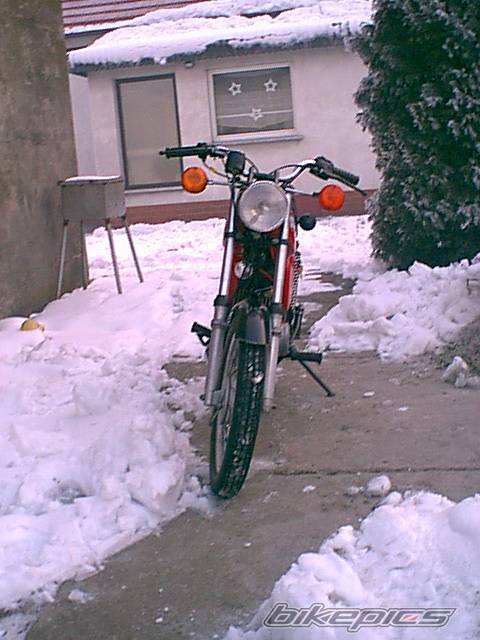 1987 SIMSON S 51 | Picture 498234 motorcycle photo