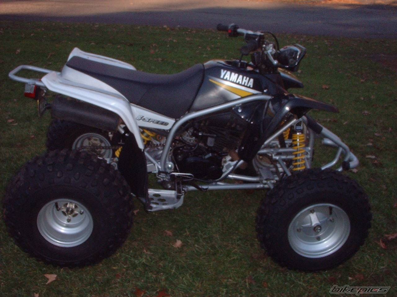 2002 YAMAHA BLASTER | Picture 49872 motorcycle photo