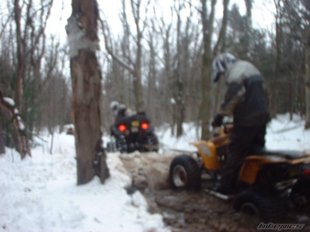 2002 YAMAHA BLASTER | Picture 49883 motorcycle photo