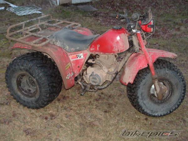 1984 HONDA ATC 200 | Picture 499276 motorcycle photo