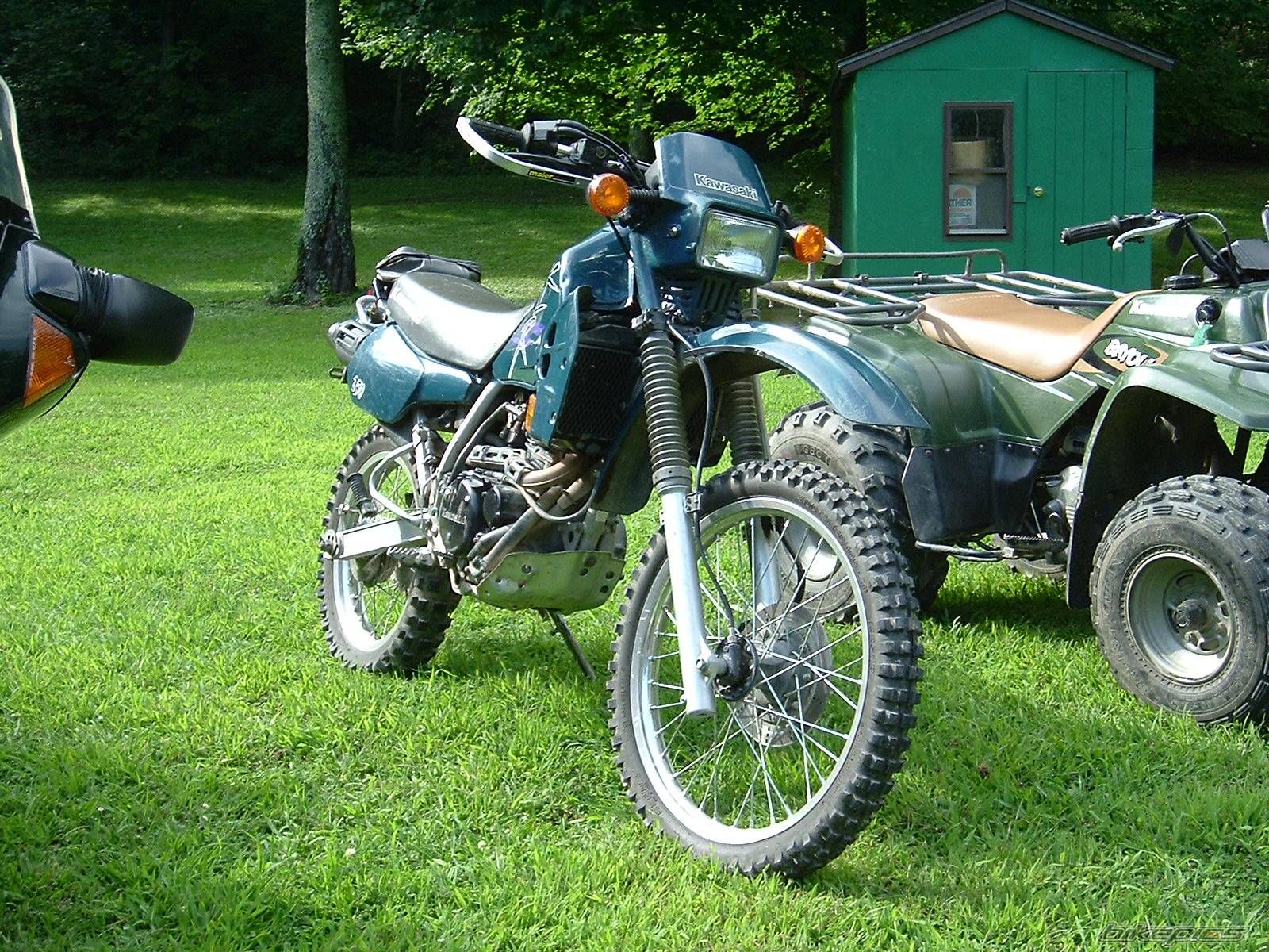 499295 | Picture 499295 motorcycle photo