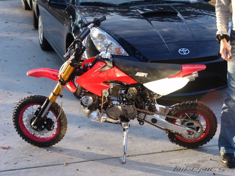 2006 HONDA CRF 50 | Picture 500043 motorcycle photo