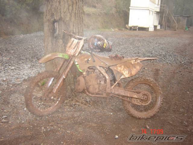 2006 KAWASAKI KX 250 | Picture 501496 motorcycle photo
