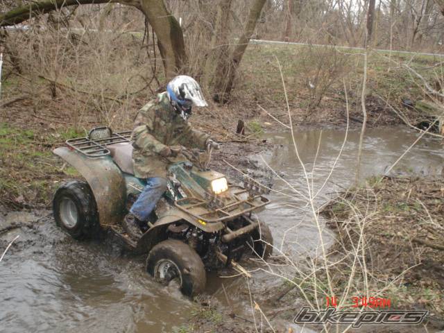1999 POLARIS XPLORER 400 | Picture 501652 motorcycle photo
