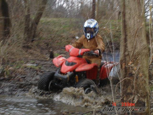 1999 POLARIS XPLORER 400 | Picture 501653 motorcycle photo