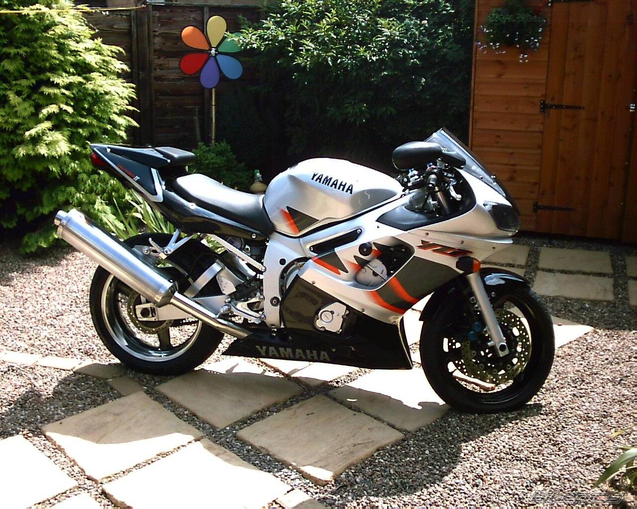 1999 YAMAHA YZF R6 | Picture 50174 motorcycle photo