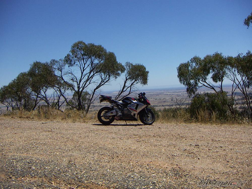2005 HONDA CBR 600 | Picture 501811 motorcycle photo