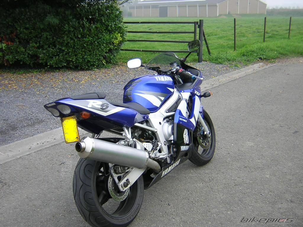 2002 YAMAHA YZF R6 | Picture 501940 motorcycle photo