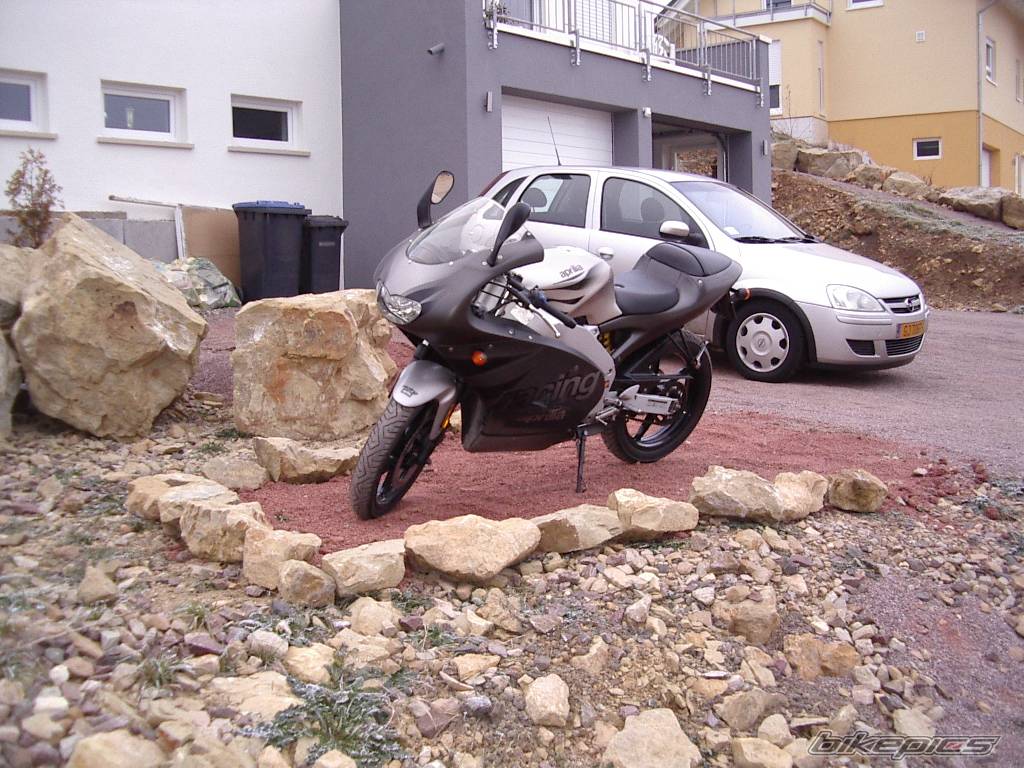 2003 APRILIA RS 50 | Picture 502142 motorcycle photo