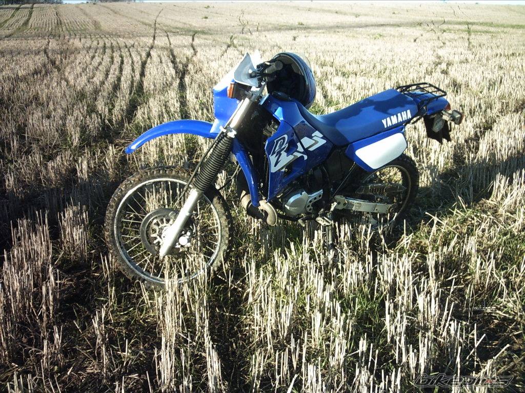2003 YAMAHA DT 125 | Picture 502192 motorcycle photo