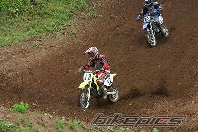 2004 SUZUKI RM 85 | Picture 502227 motorcycle photo