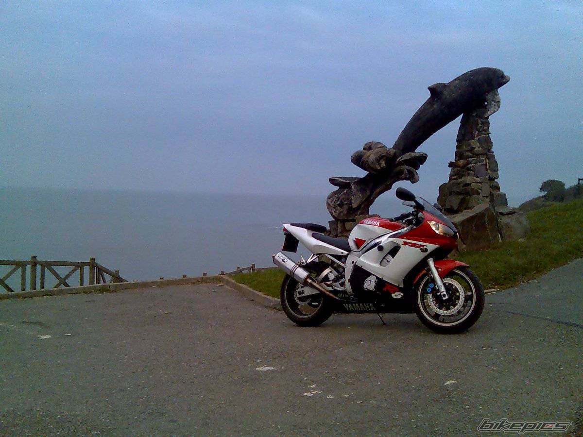1999 YAMAHA YZF R6 | Picture 502384 motorcycle photo