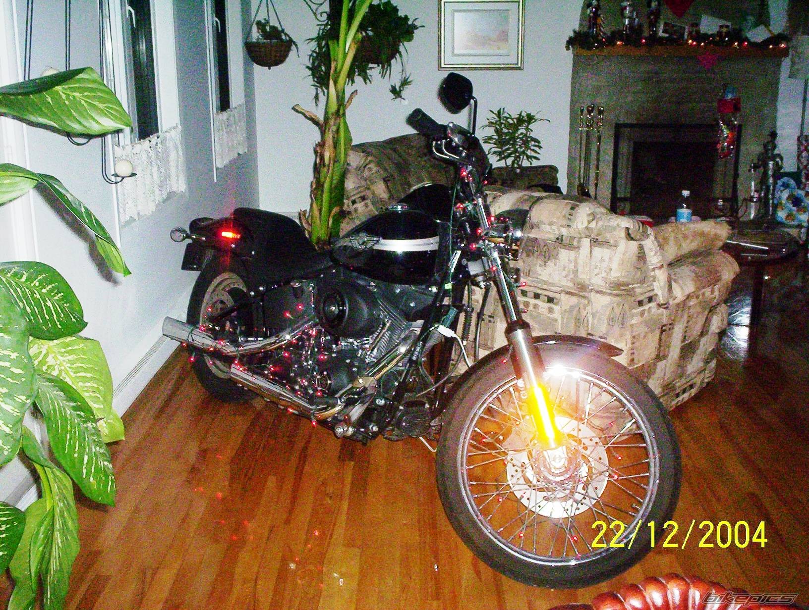 2003 HARLEY DAVIDSON FXSTB | Picture 502639 motorcycle photo