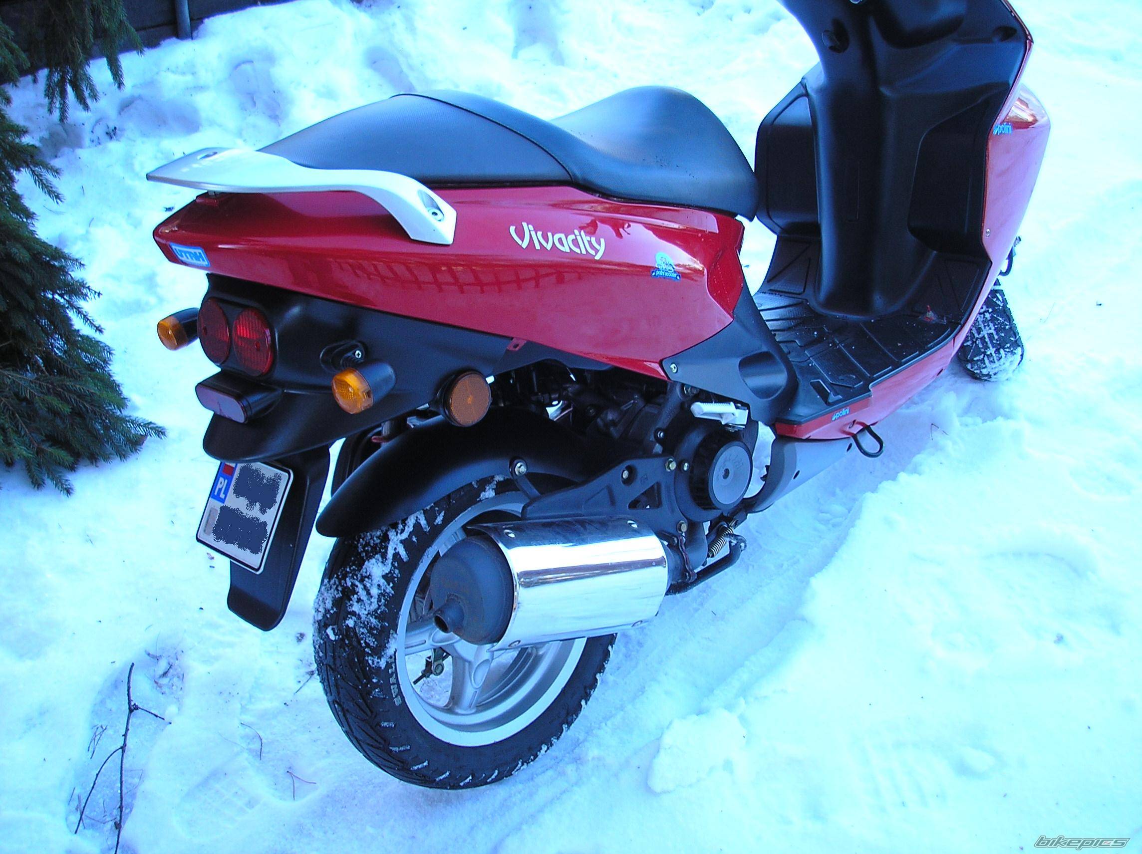 2002 DAELIM S FIVE 50 | Picture 502712 motorcycle photo