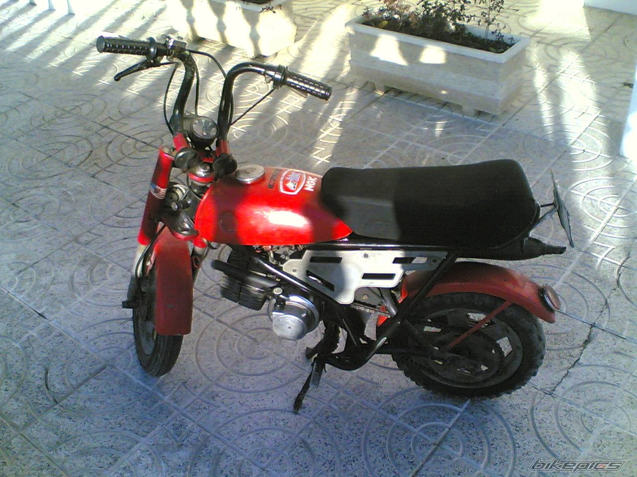 1975 PUCH MINICROSS | Picture 502860 motorcycle photo