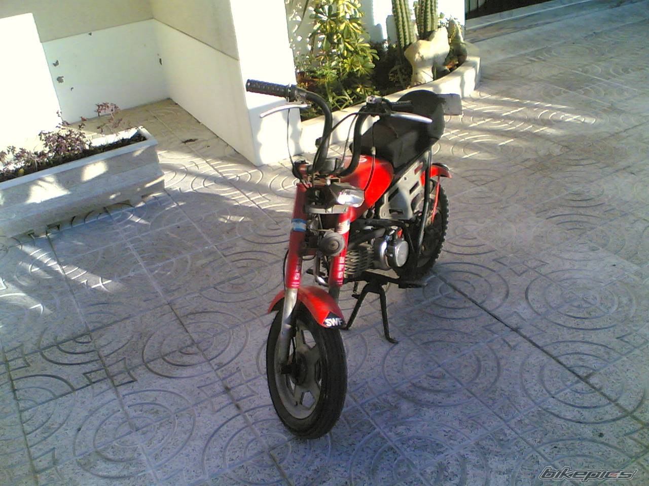 1975 PUCH MINICROSS | Picture 502863 motorcycle photo