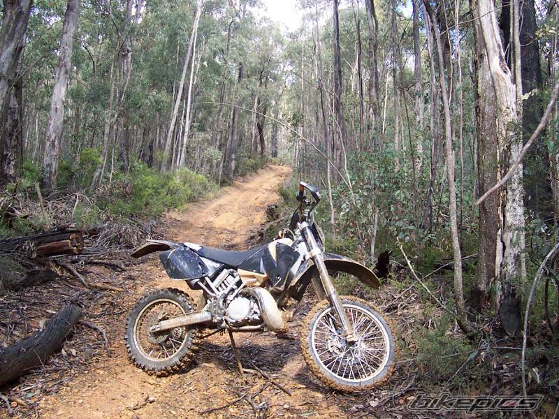 2001 KTM 380 EXC | Picture 502944 motorcycle photo
