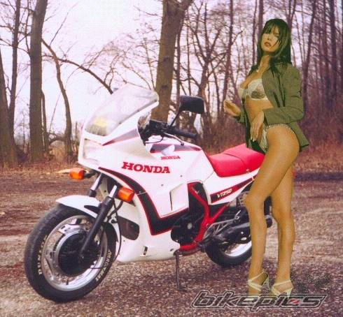 1983 HONDA VT 250 F | Picture 5031 motorcycle photo