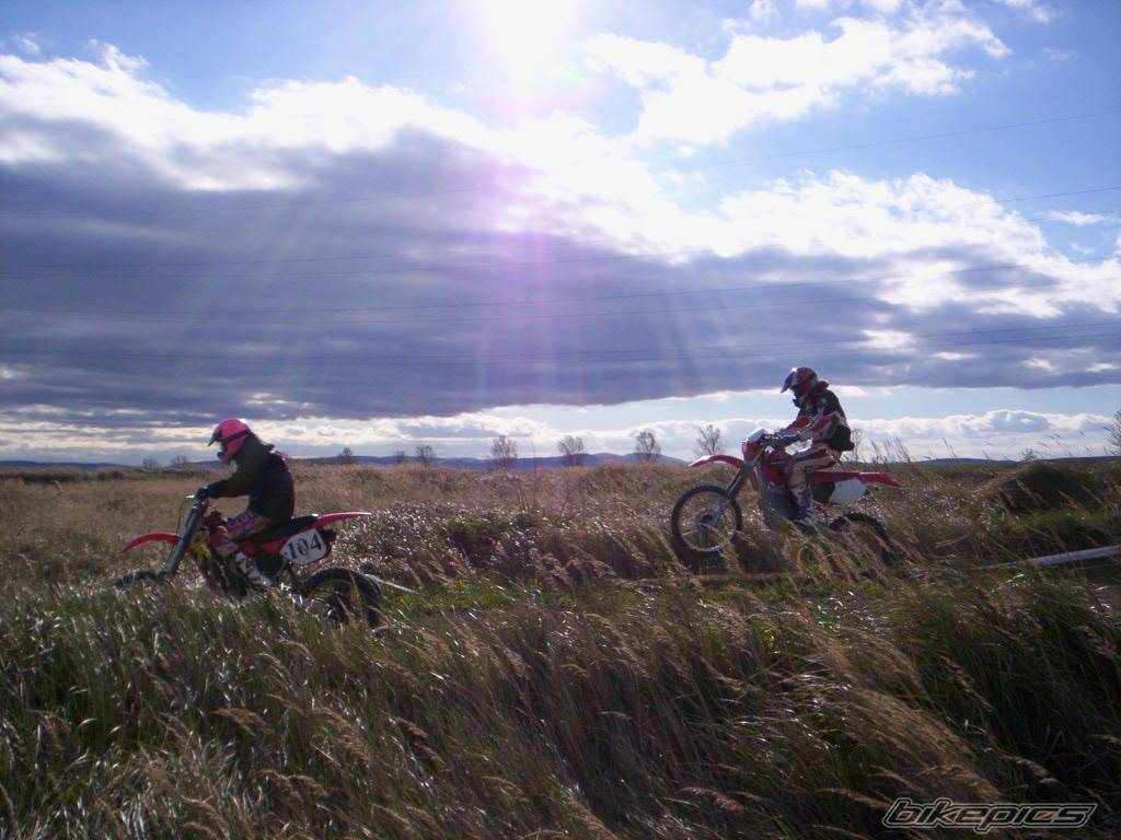 1989 HONDA CR 250 | Picture 503242 motorcycle photo