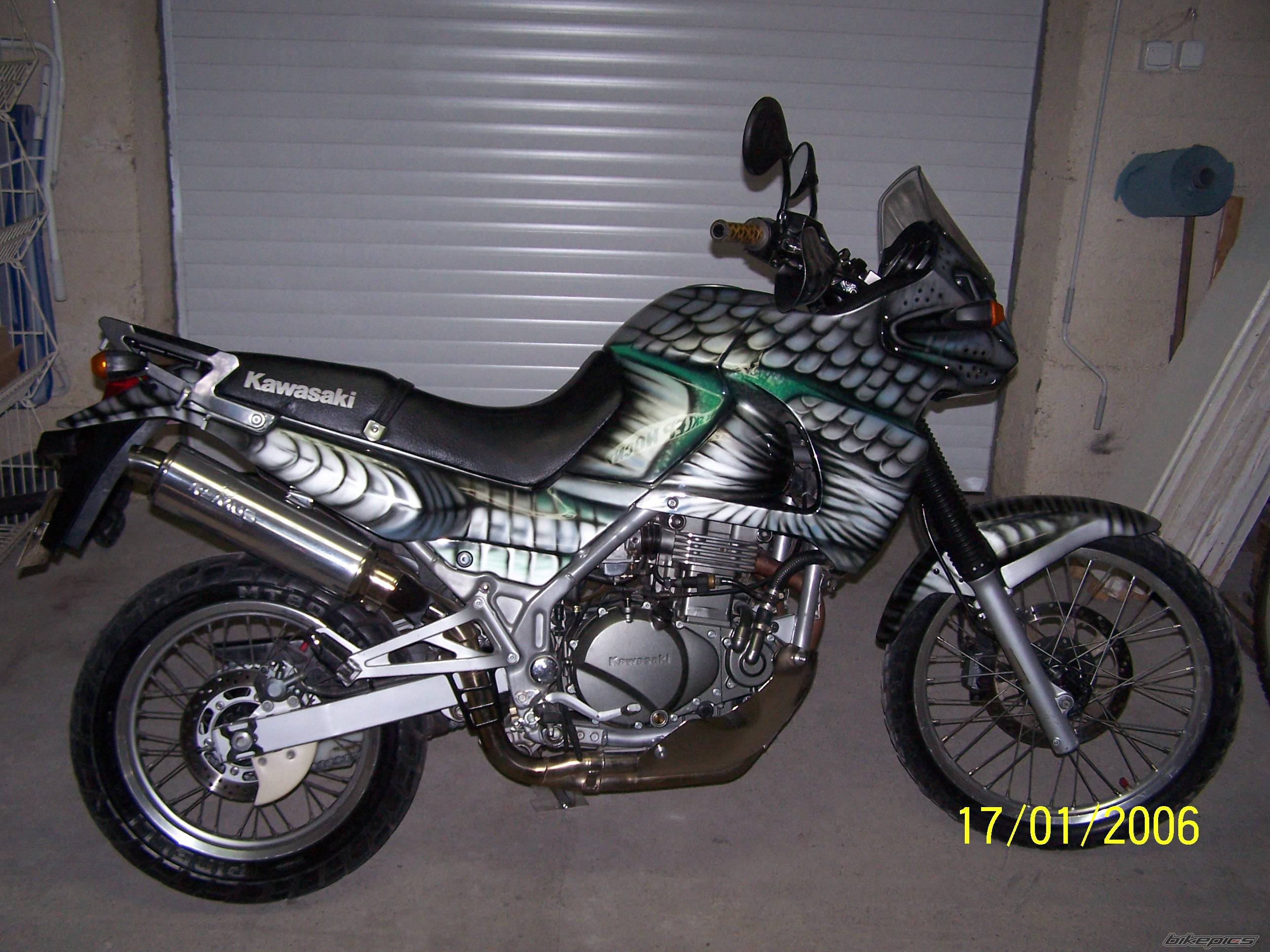 2005 KAWASAKI KLE 500 | Picture 503326 motorcycle photo