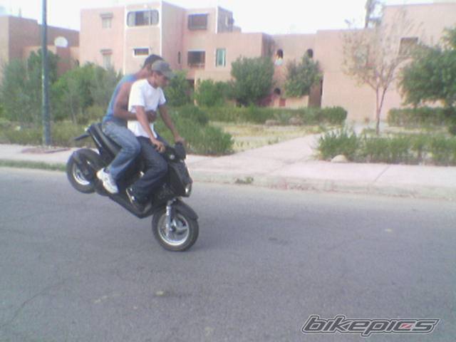 2003 MBK STUNT | Picture 503527 motorcycle photo