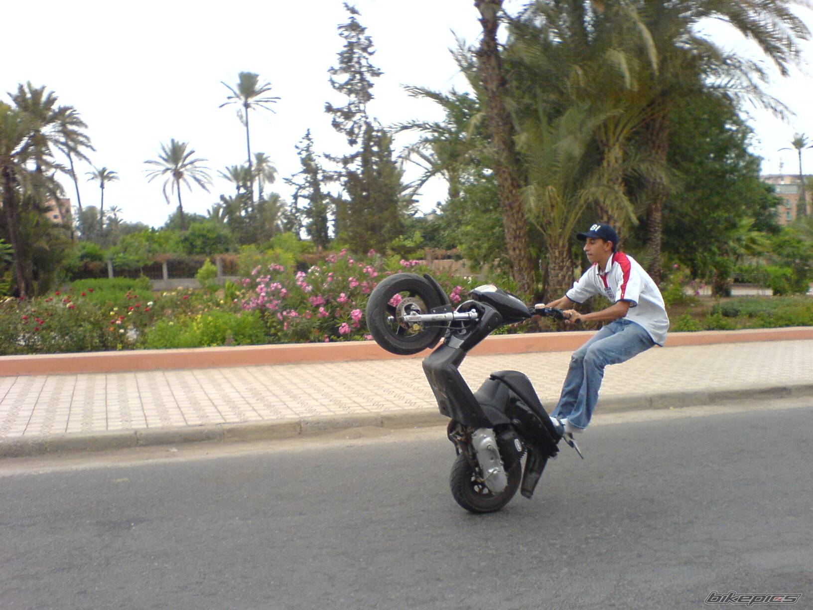 2002 MBK STUNT | Picture 503537 motorcycle photo
