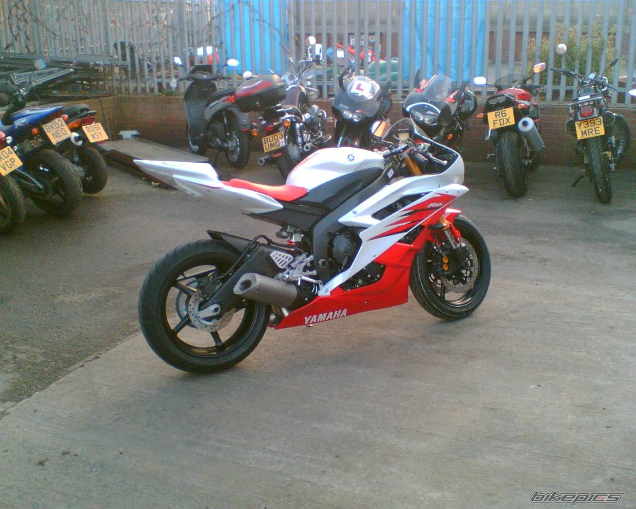 2006 YAMAHA YZF R6 | Picture 505438 motorcycle photo