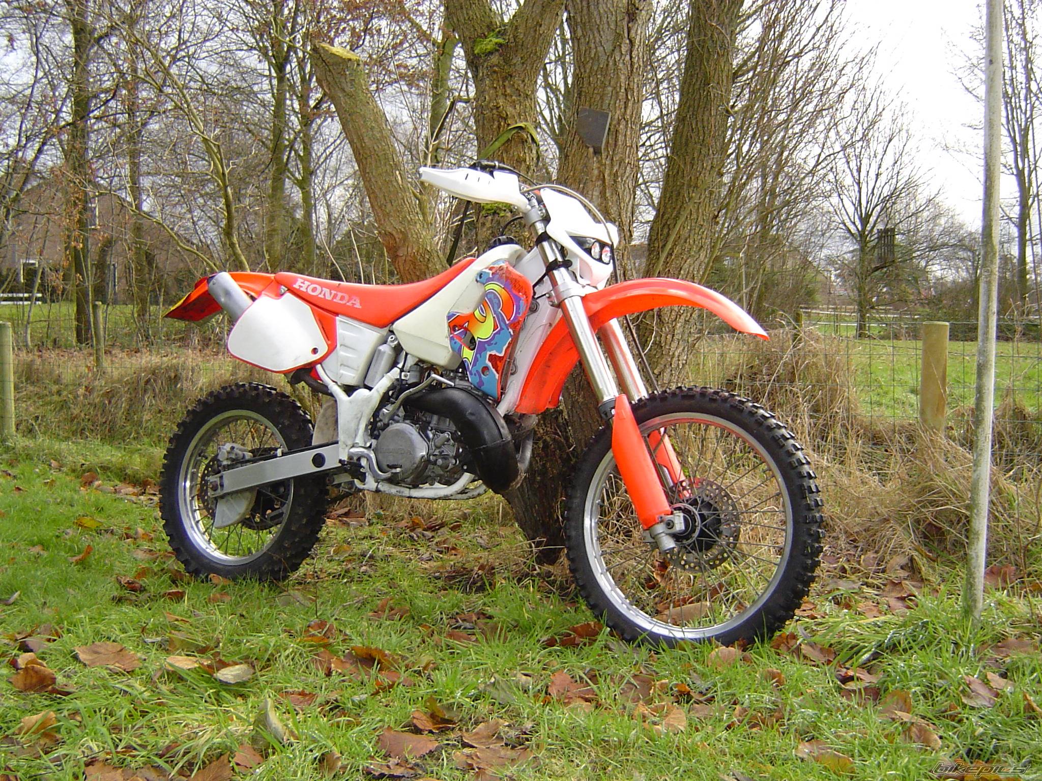 1994 HONDA CR 250 | Picture 505440 motorcycle photo