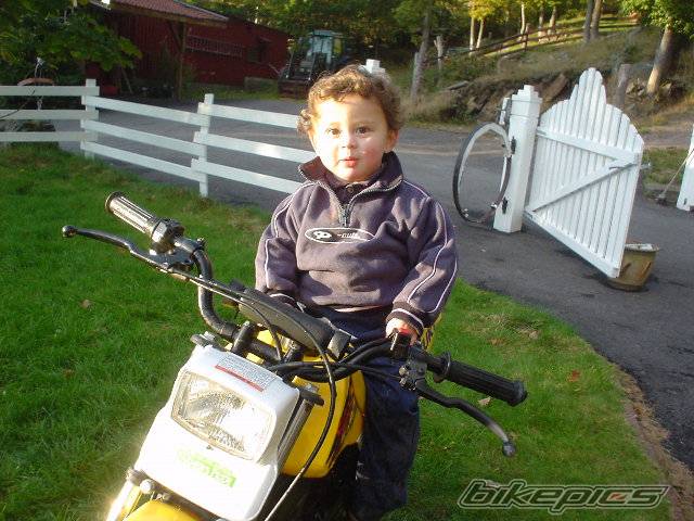 1998 SUZUKI DS 80 | Picture 505463 motorcycle photo