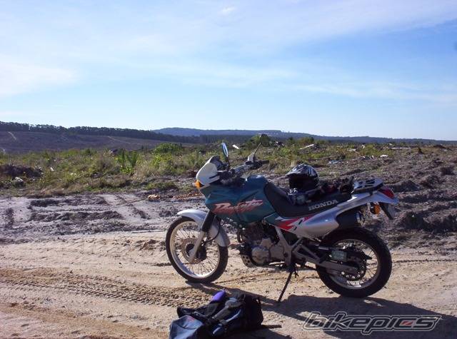 1999 HONDA NX 650 DOMINATOR | Picture 505628 motorcycle photo