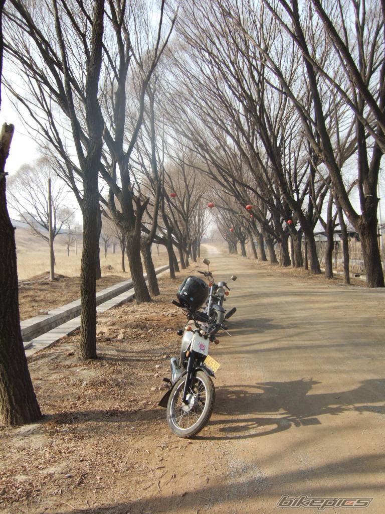 1997 JINCHENG COUGAR 100 | Picture 505780 motorcycle photo