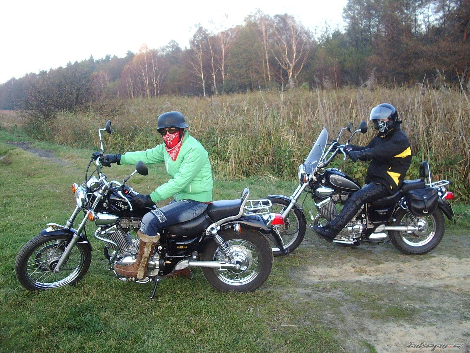 2006 YAMAHA VIRAGO 535 | Picture 505923 motorcycle photo