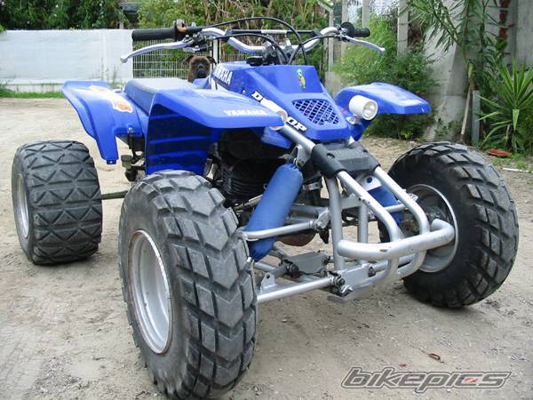 2002 YAMAHA BLASTER | Picture 50609 motorcycle photo