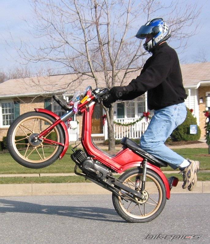 1987 DERBI VARIANT | Picture 50619 motorcycle photo