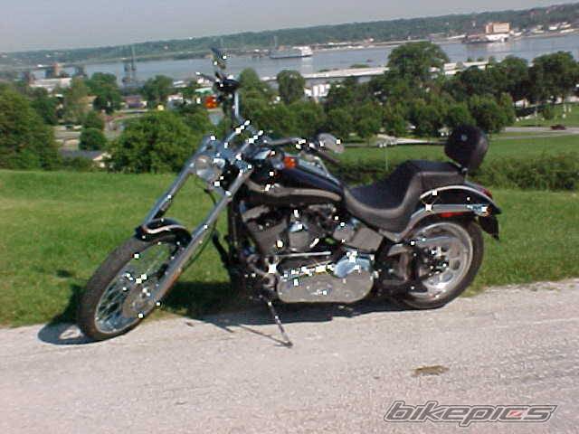 2003 HARLEY DAVIDSON FXSTD | Picture 50681 motorcycle photo