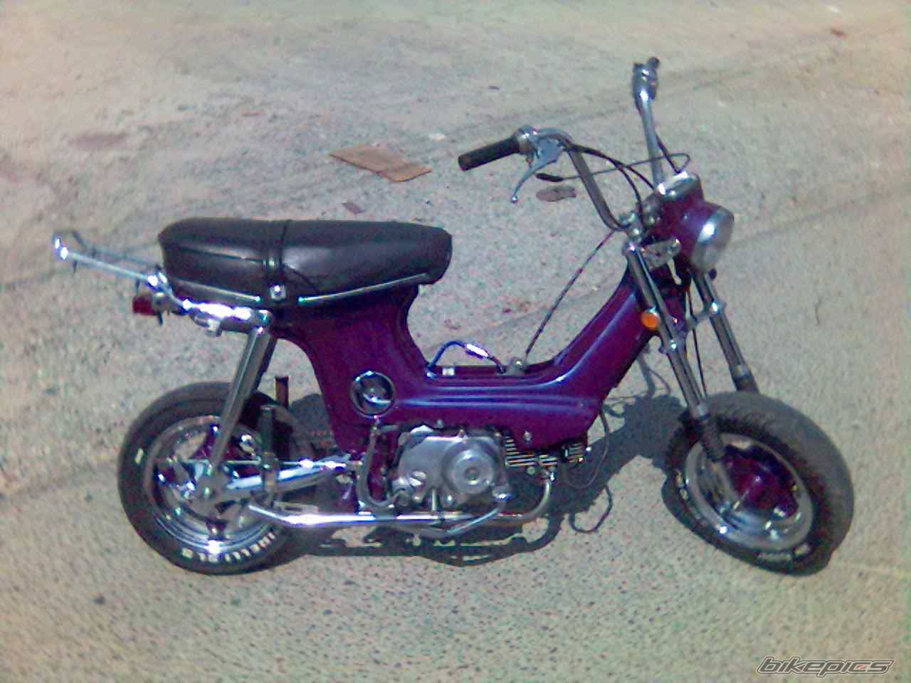 1987 HONDA CHALY | Picture 506855 motorcycle photo