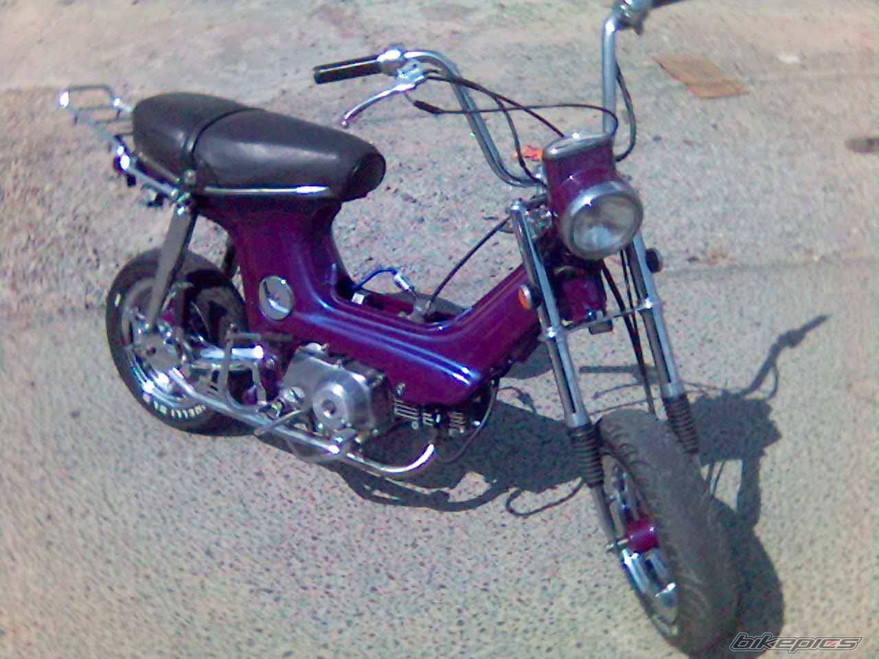 1987 HONDA CHALY | Picture 506856 motorcycle photo