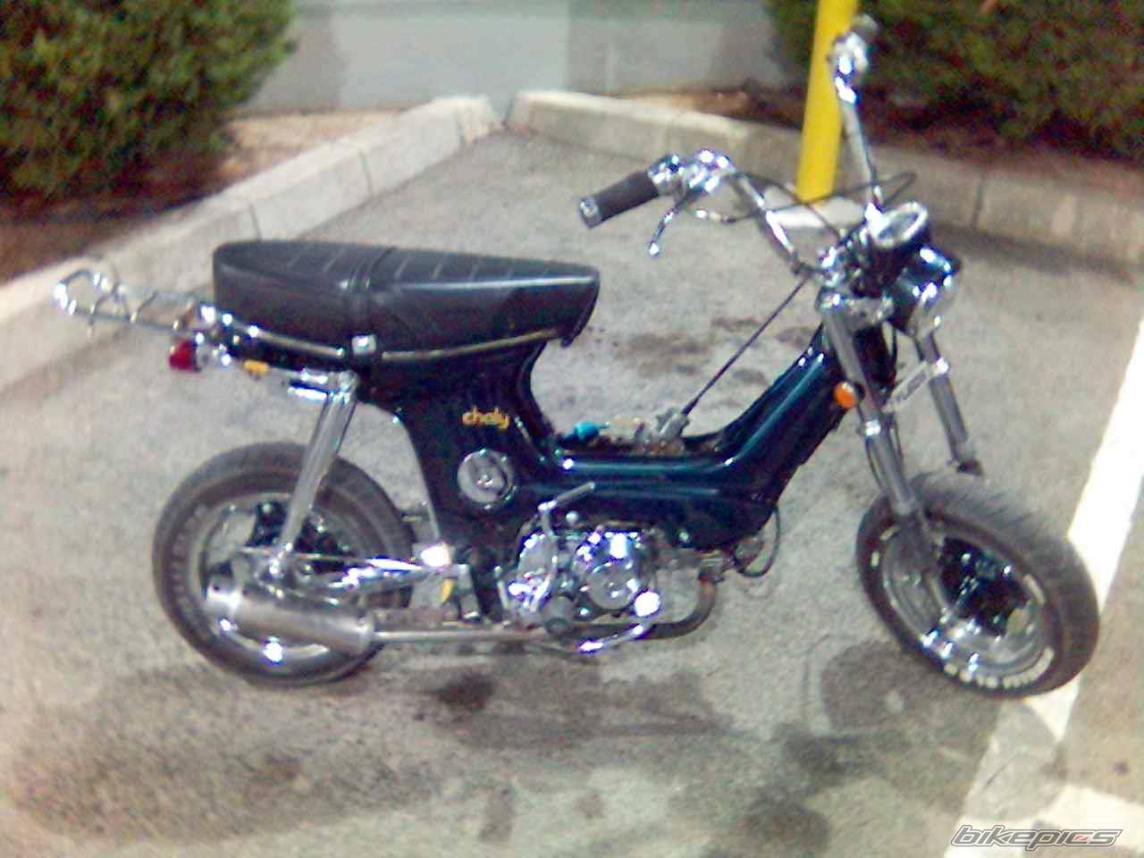 1987 HONDA CHALY | Picture 506860 motorcycle photo