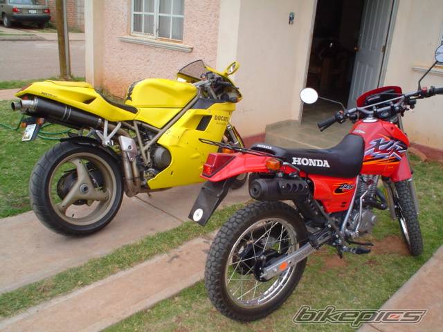 1998 DUCATI 748 | Picture 506884 motorcycle photo
