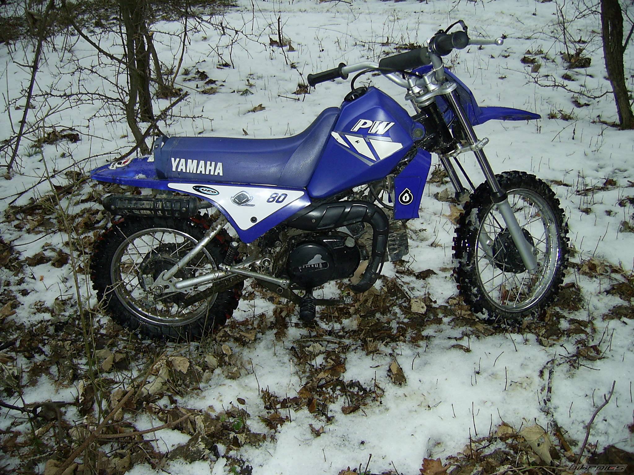 2001 YAMAHA PW 80 | Picture 507386 motorcycle photo