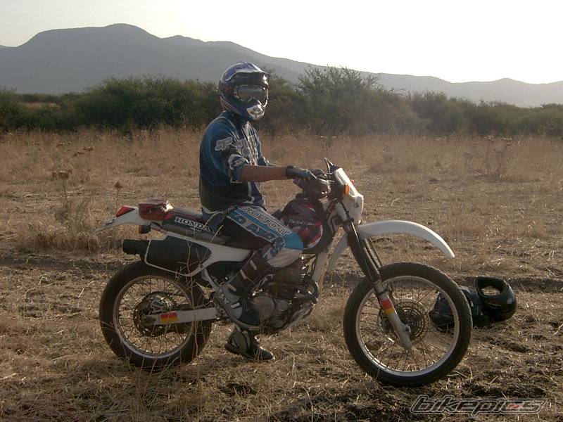 1990 HONDA XR 250 | Picture 508000 motorcycle photo