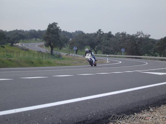 2004 APRILIA RS 125 | Picture 508246 motorcycle photo