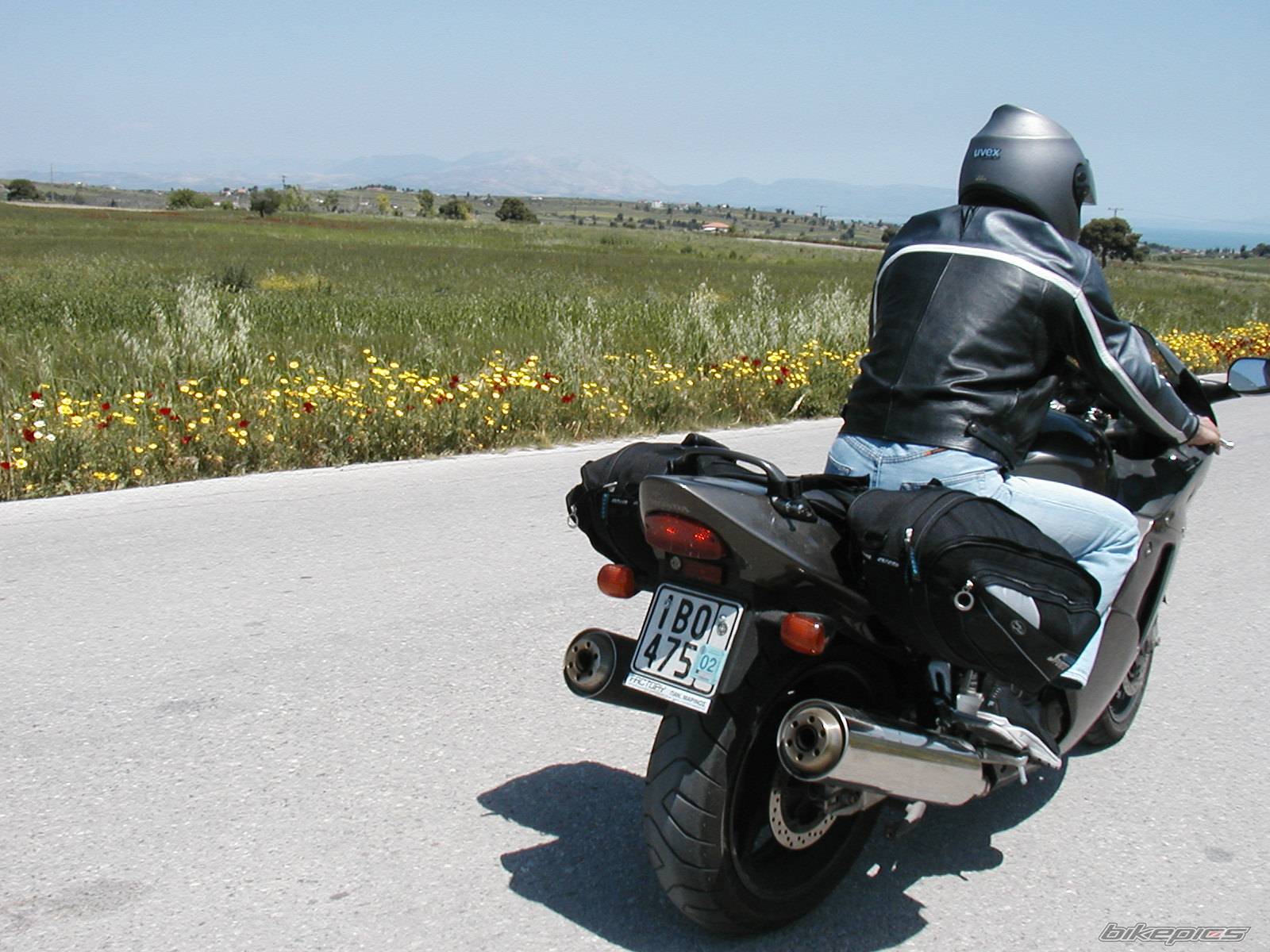1998 HONDA CBR 1100 BLACKBIRD | Picture 50840 motorcycle photo
