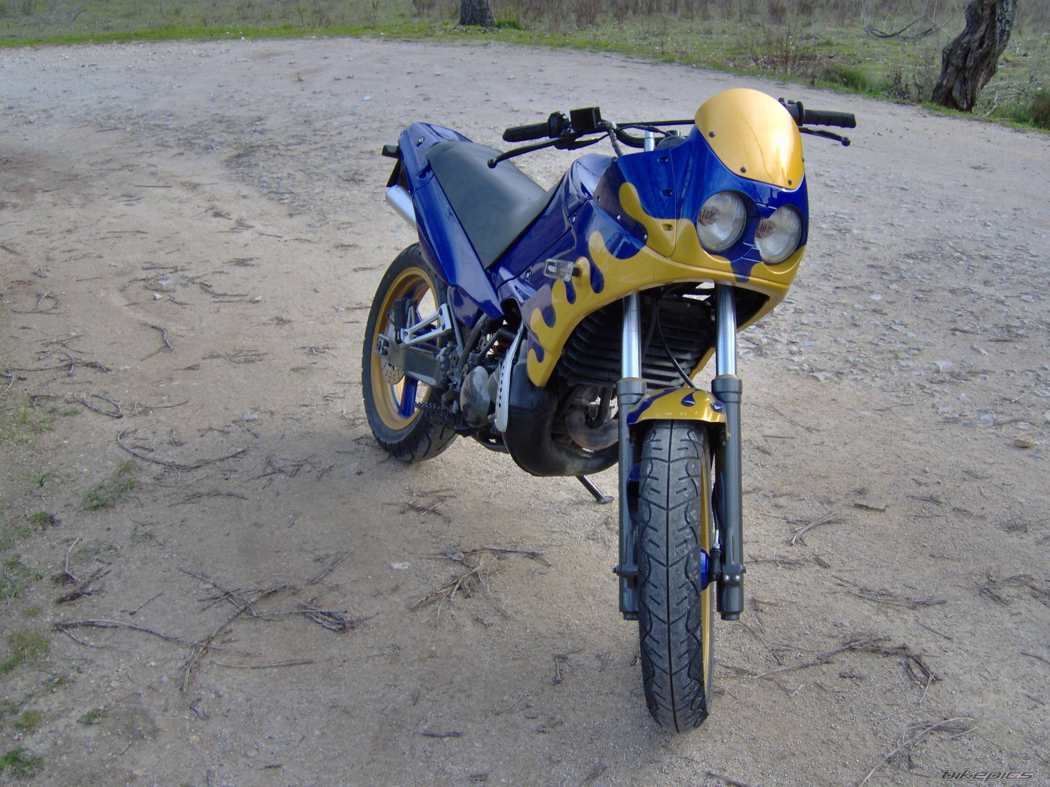 2005 YAMAHA TDR 125 | Picture 508584 motorcycle photo