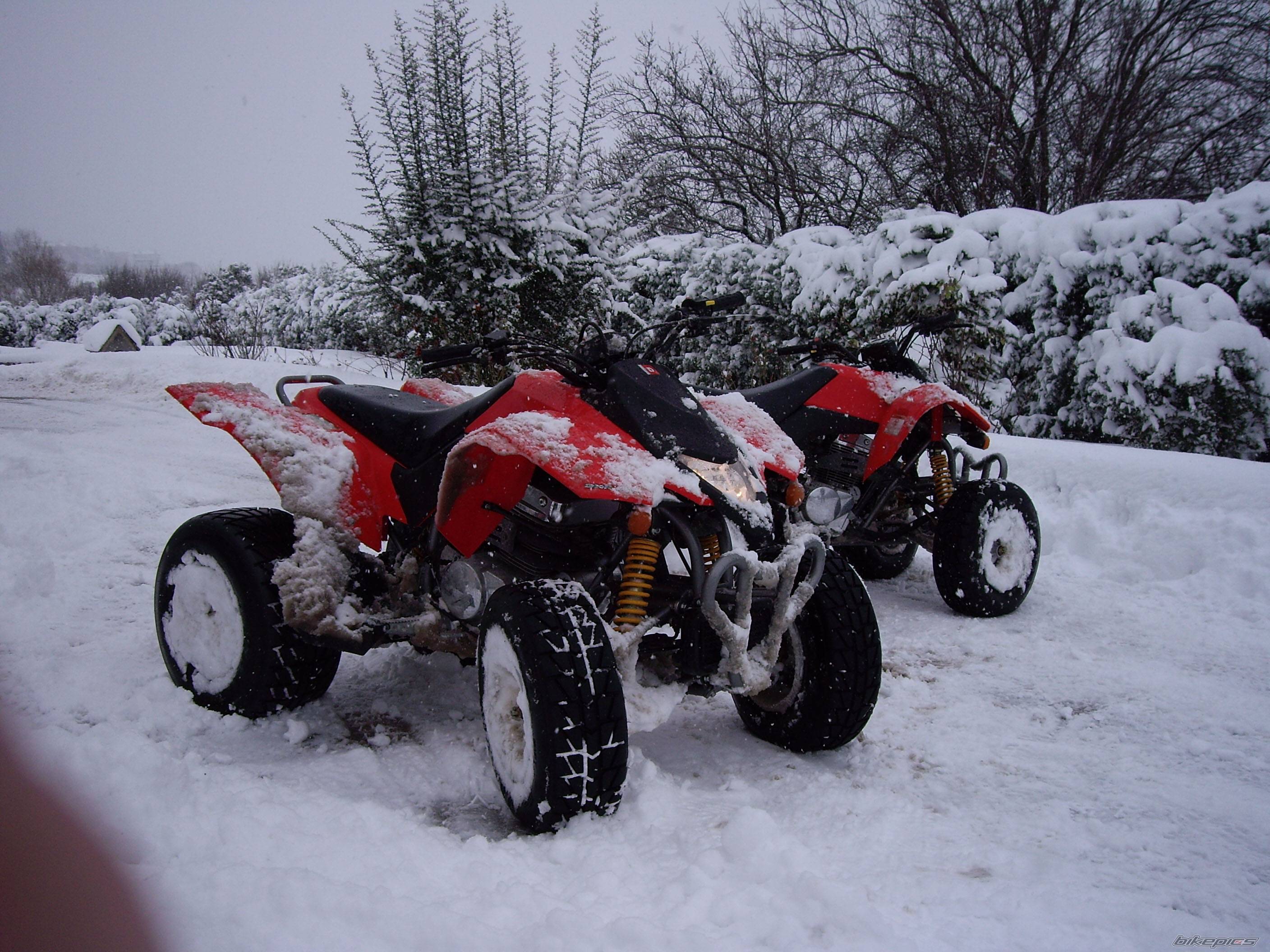 2005 DERBI DXR 250 | Picture 508605 motorcycle photo