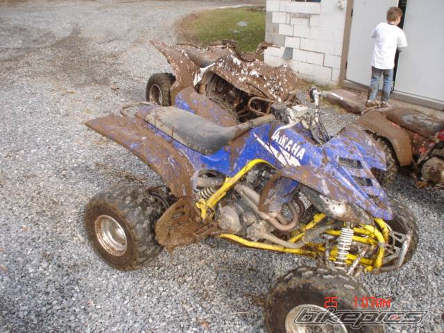 2003 YAMAHA RAPTOR YFM 660 | Picture 508721 motorcycle photo