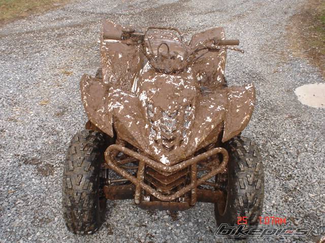 2006 YAMAHA WOLVERINE | Picture 508737 motorcycle photo